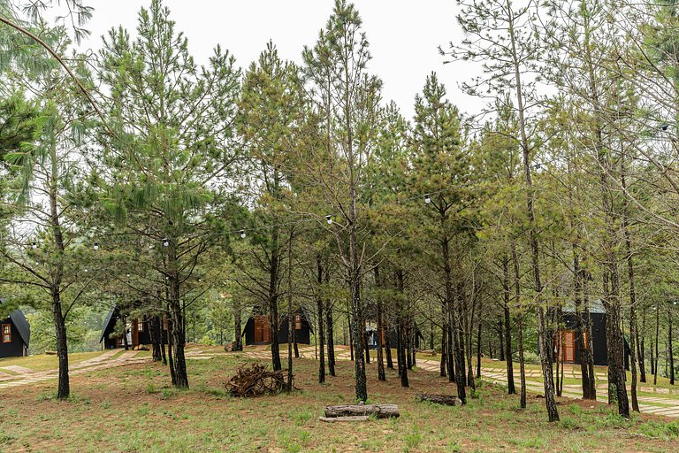 Chalet encantador en la Sierra Paulista CNA006