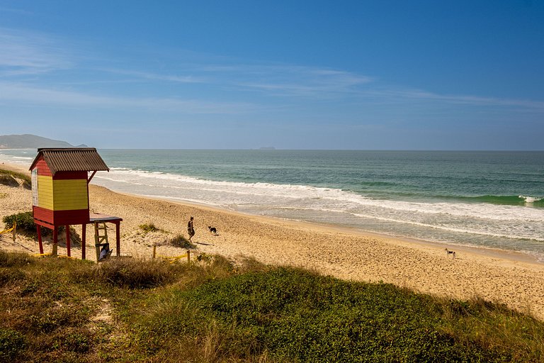 Estudio de alto estándar en Floripa IRB205
