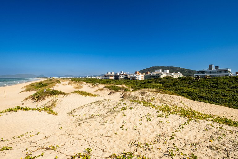 Estudio de alto estándar en Floripa IRB205