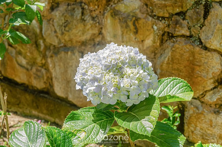 Chamosa y aconchegante casa en Petrópolis VGL041
