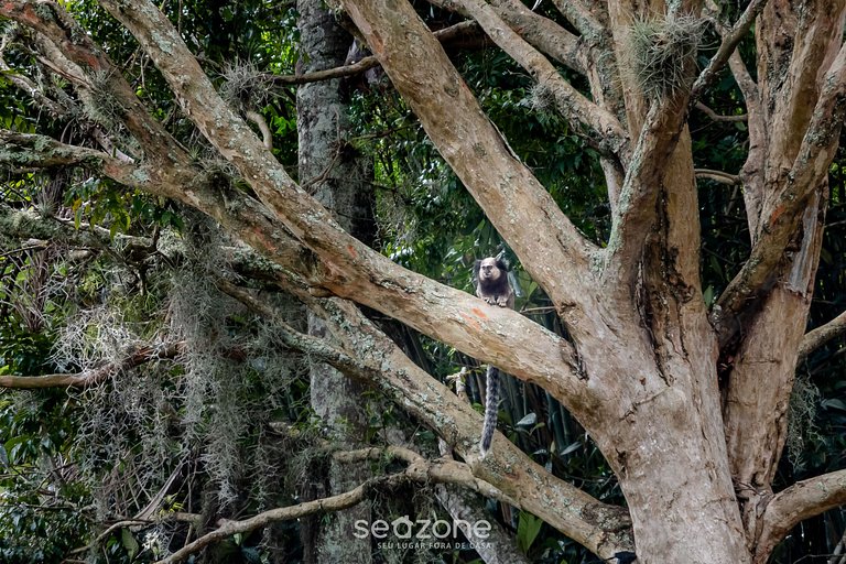 Loft moderno c/ terraza cerca playa NDE00003