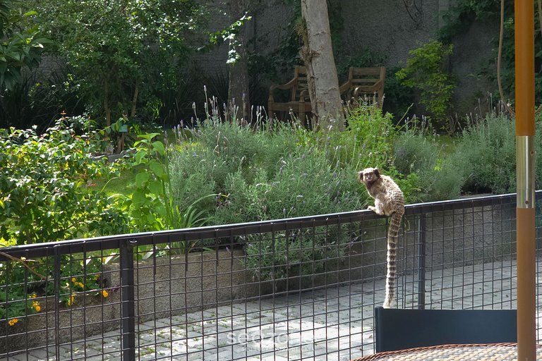 Loft rústico c/ terraza+jardín cerca playa NDE0002